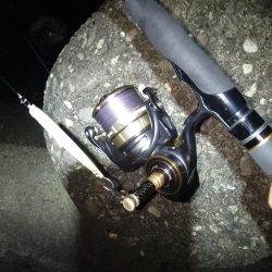 雨後の表層狙いはNG？