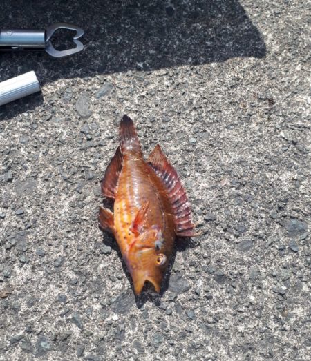 ファミリーフィッシング