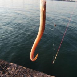 買い物待ち釣行