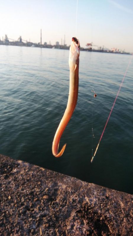 買い物待ち釣行