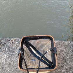 2023/05/09 大阪市内河川 稚鮎釣り