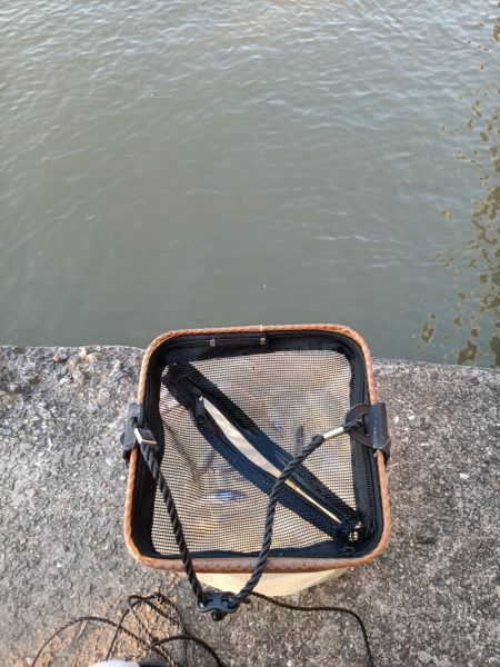 2023/05/09 大阪市内河川 稚鮎釣り