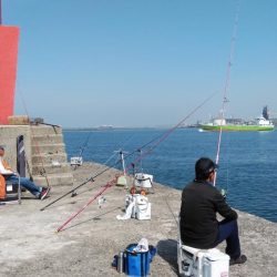 播磨新島のキス情報