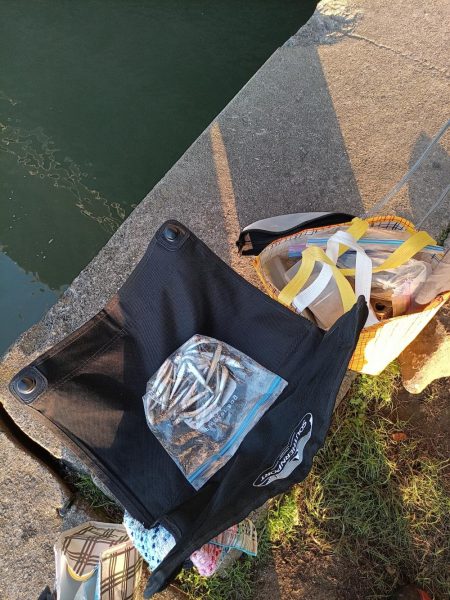 2023/05/10 大阪市内河川 稚鮎釣り