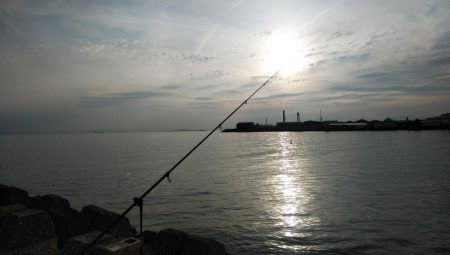 東二見のキス情報