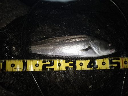 21時を過ぎるとOUT…