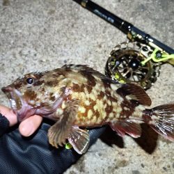 2023/05/19 南港ヘチ釣り釣行