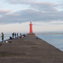播磨新島のキス情報