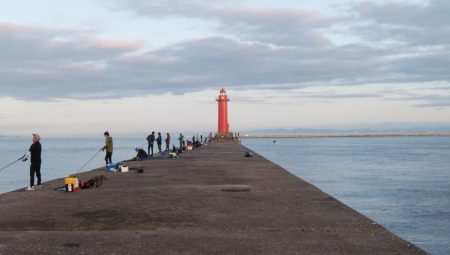播磨新島のキス情報