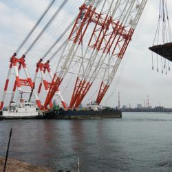 播磨新島のキス釣査