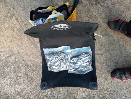 2023/05/23 大阪市内河川 稚鮎釣り