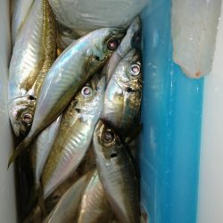 小○の活性は高く