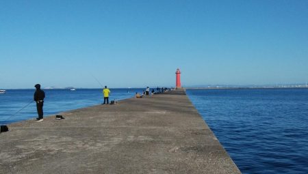 播磨新島のキス情報