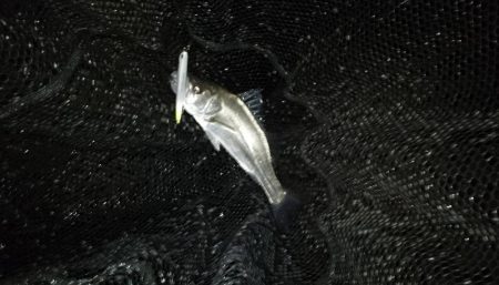 行ってみないと分からないよね～