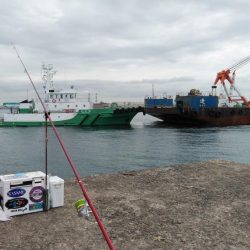 東二見のキス情報