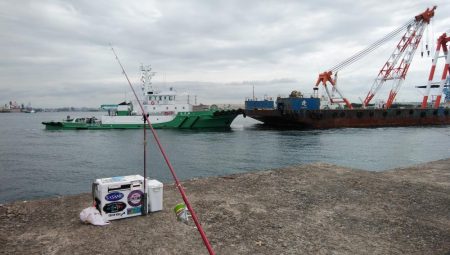 東二見のキス情報