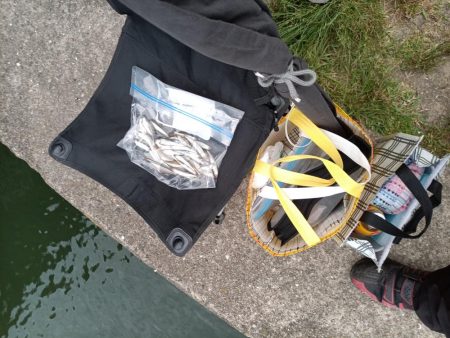 2023/05/28 大阪市内河川 稚鮎釣り