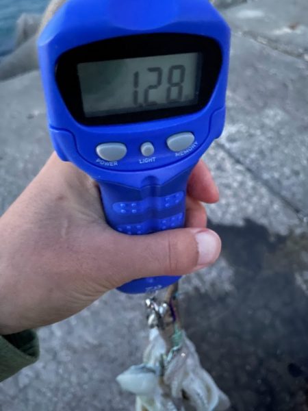 熟れきってるそのモンゴー ゆがんじゃってもずっとMy Love