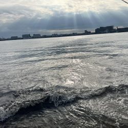 久しぶりに釣れました！！