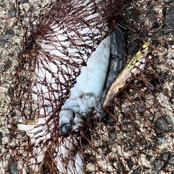 もうお前らええんやけど