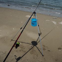 キス釣り　時合は短時間