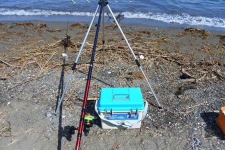 キス釣り　まだ小型ばかり