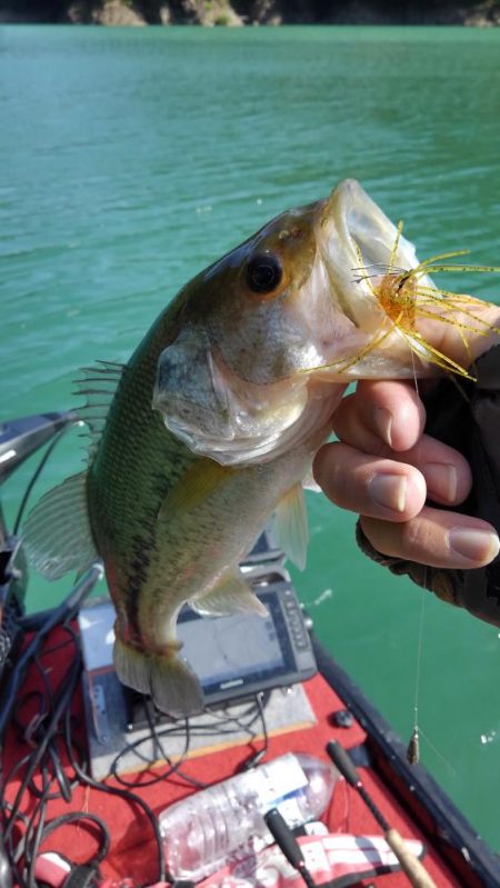 プリスポーンダイナマイト！