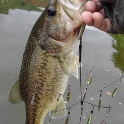産後でお疲れの様子…