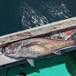 今日もクログチ(泉州丸)