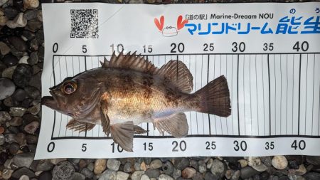 フロートアジング