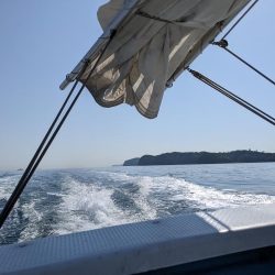 飲ませ釣り(サウス)