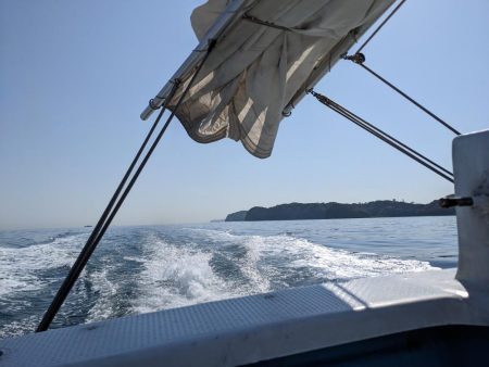 飲ませ釣り(サウス)