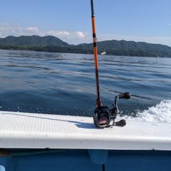 ヒラメ大量（サウス）