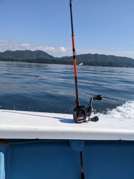 ヒラメ大量（サウス）