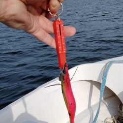 2週間振りボートエギング釣行