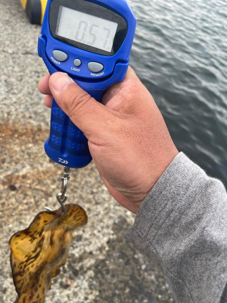 関東遠征エギング