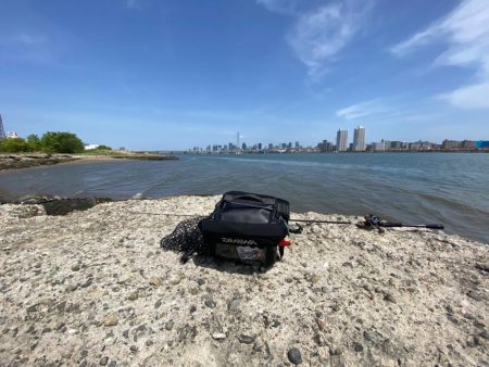 淀川昼間の干潮潮止まり