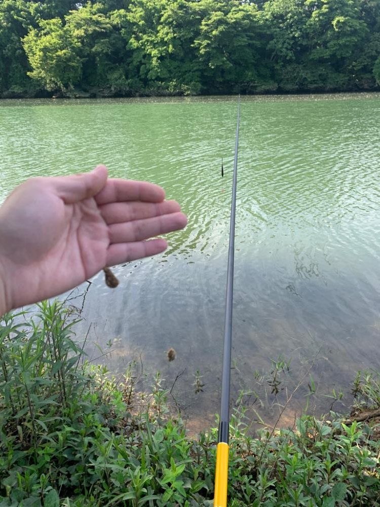 久々の浮き釣りに