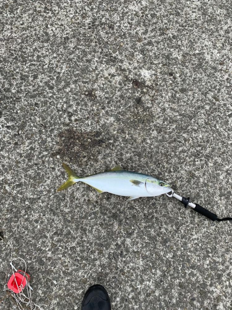 朝夕すごかった