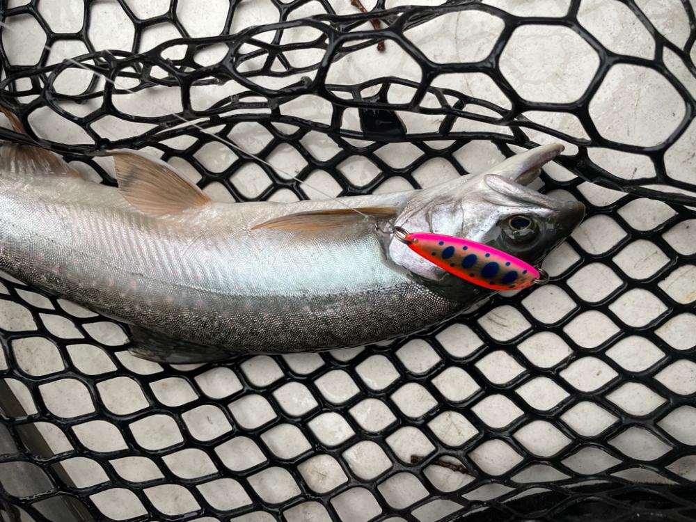 然別湖釣行2日目