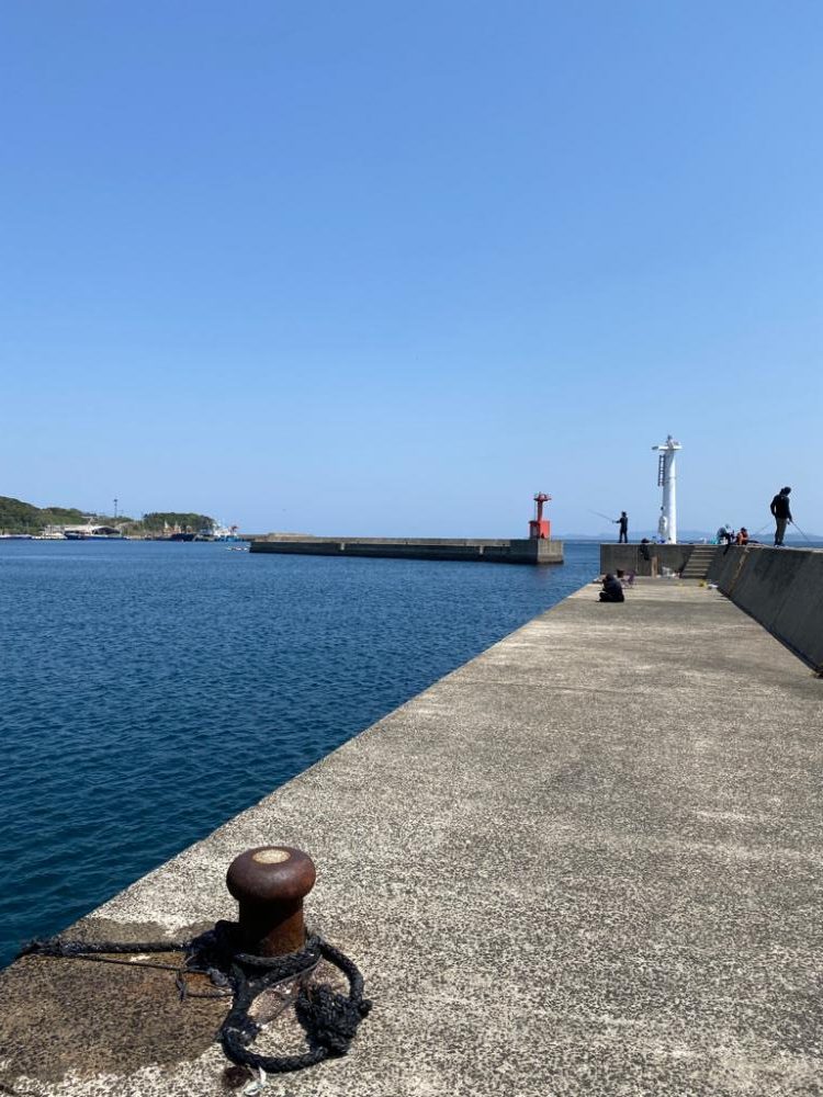 初めての平戸でエギング