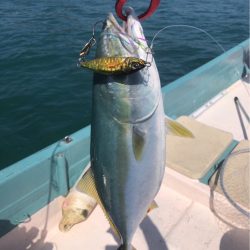 5/9 橘湾〜伊島ジギング&タイラ…