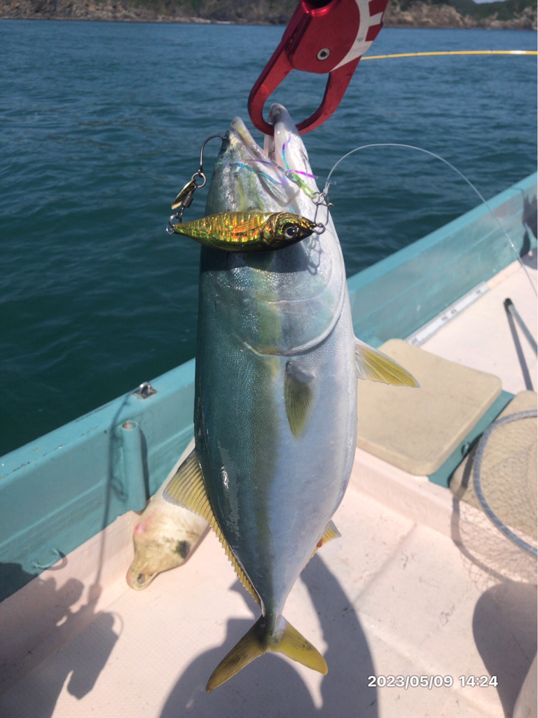 5/9 橘湾〜伊島ジギング&タイラバ