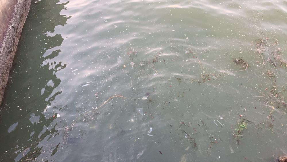 雨上がりの様子は・・・