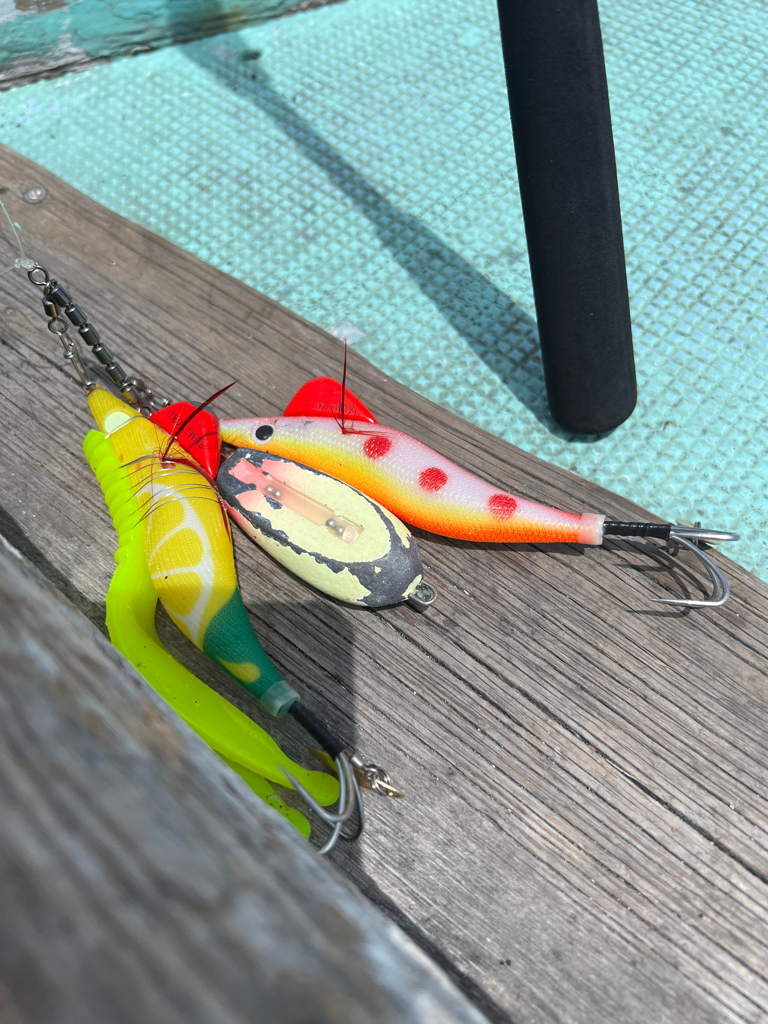 明石タコ🐙2日目🐙