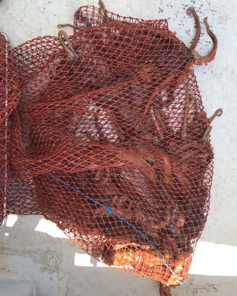 淡路のタコエギ