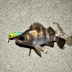 夜の常夜灯は楽しい！