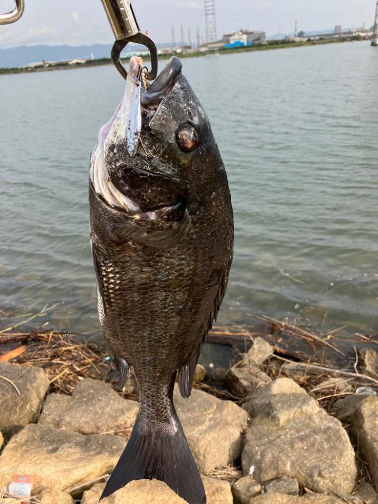 2023年 遅咲きの初フィッシュ