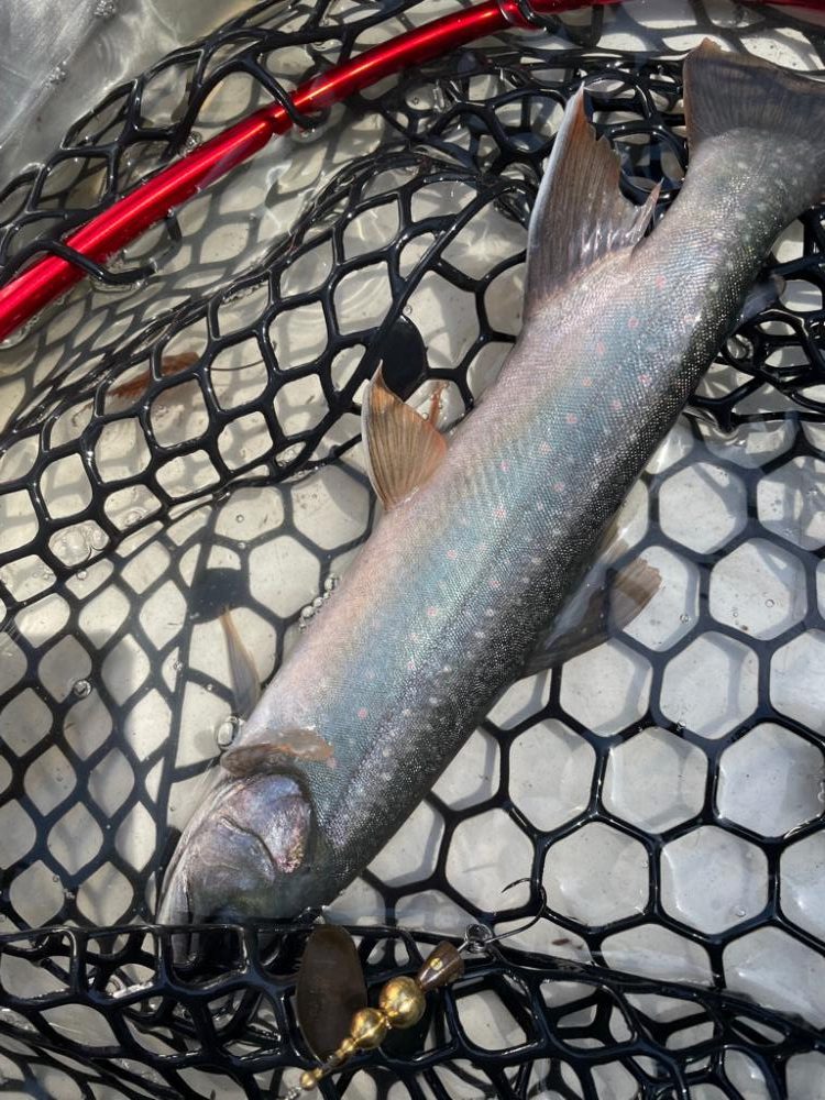 初の然別湖グレートフィッシング!