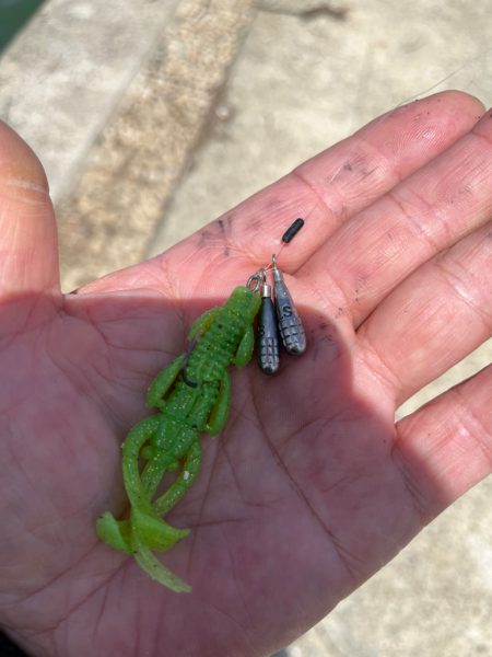 やっぱり武庫川！